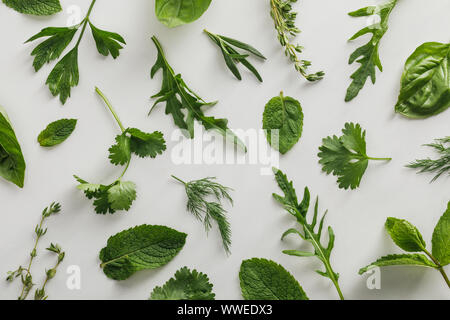 Vista dall'alto di rucola, il basilico, il coriandolo, aneto, prezzemolo e rosmarino e rametti di timo su sfondo bianco Foto Stock