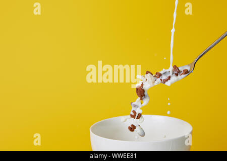 Cucchiaio con un assortimento di cereali e latte schizza sopra recipiente isolato su giallo Foto Stock