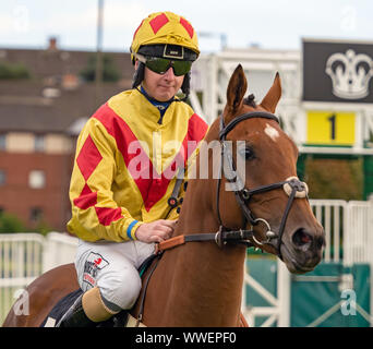 Jockey Nathan Evans su Klara spirito prima dell'inizio dell'EBF Fillies' Condizioni picchetti (più 10 Gara) a Musselburgh - 14 settembre 2019. Foto Stock