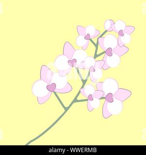 Bianco - fiori rosa. Orchid phalaenopsis filiale. Illustrazione Vettoriale Illustrazione Vettoriale