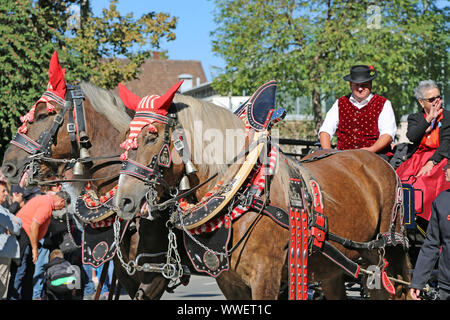 Stoccarda, Germany-September 30, 2018: Festa della birra, festoso corteo con i cavalli Foto Stock