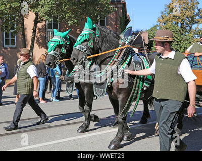 Stoccarda, Germany-September 30, 2018: Festa della birra, festoso corteo con i cavalli Foto Stock