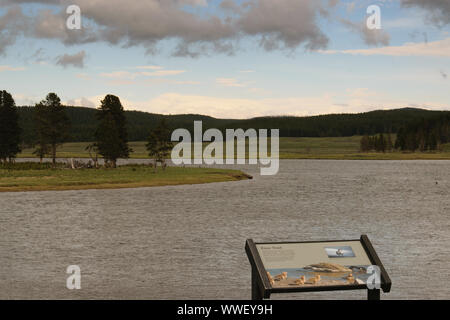 Parco Nazionale di Yellowstone durante l'estate sulla rotonda del giro panoramico dell'automobile Foto Stock