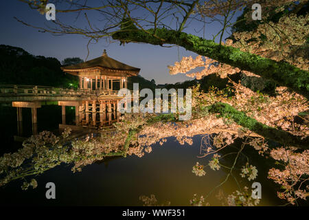 Vista notturna di fiore di ciliegio nella parte anteriore della pagoda di Nara, Giappone Foto Stock