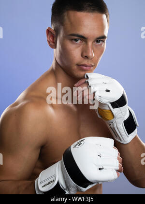 Giovane maschio boxer Foto Stock