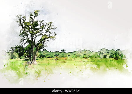 Abstract albero colorato e paesaggio di campo in Thailandia con acquarello dipinto illustrazione dello sfondo. Foto Stock