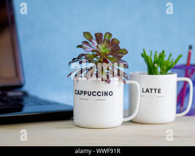 Impianti di casa riciclata in tazze da caffè sulla scrivania, impianti di ufficio di ridurre lo stress, aumentare la creatività e la produttività come parte Foto Stock