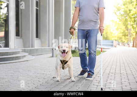 Blind uomo maturo con cane guida all'aperto Foto Stock