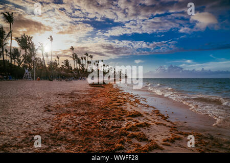 Il paesaggio del paradiso isola tropicale sulla spiaggia al tramonto, sparato contro il sun. Incredibile la luce del tramonto sulla spiaggia di Punta Cana con sedie a sdraio e ombrelloni e p