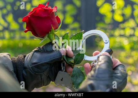 All'aperto, vicino, la mano di un uomo in pelle Guanti e manette, si estende e dà una rosa rossa fiore Foto Stock