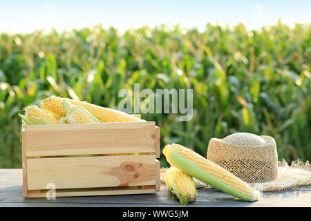 Scatola di legno con le pannocchie di granoturco e hat sulla tabella nel campo Foto Stock