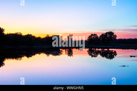 Sunset over Hatchet stagno, New Forest, Hampshire REGNO UNITO mostra sagome di alberi in acqua ancora Foto Stock