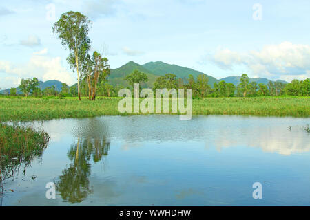 Hong Kong wetland Foto Stock