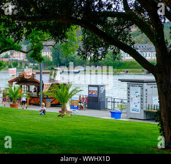 Koblenz, Germania - Agosto 9, 2019: un ragazzo gioca con oche sull'erba vicino alle sponde del fiume Reno a Coblenza, Germania Foto Stock