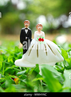 Coppie in viaggio di nozze doll su erba campo di massa Foto Stock