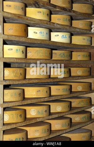 Swiss alp formaggio in soffitta Foto Stock