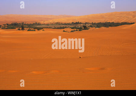 Oasi Mandara nel mare di sabbia, Sahara Foto Stock