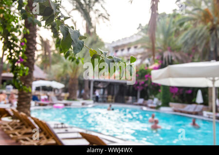 Rilassatevi presso l'albergo con la piscina in legno comodi lettini per prendere il sole tra le splendide palme e fiori di colore rosa. Sfondo sfocato Foto Stock