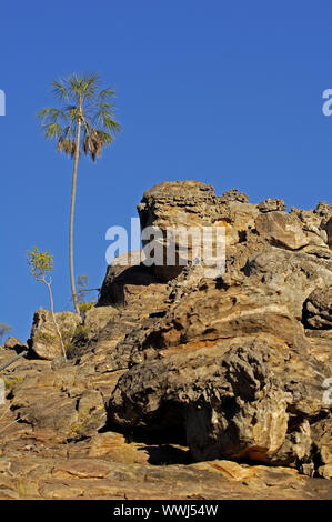 La formazione del paesaggio di Katherine Gorge (Nimiluk) NP, Territority settentrionale, Australia Foto Stock