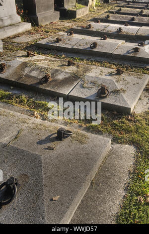 Autunno presso il cimitero centrale di Vienna, Austria, Euope Foto Stock