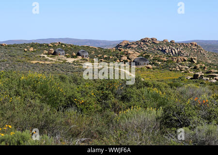 Namakwa Suite Montagna, Sud Africa Foto Stock