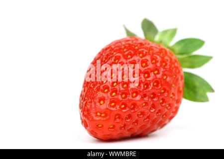 Una fragola isolato su bianco Foto Stock