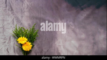 Gerbera gialla Daisy fiori su sfondo grunge. Copia dello spazio. Foto Stock
