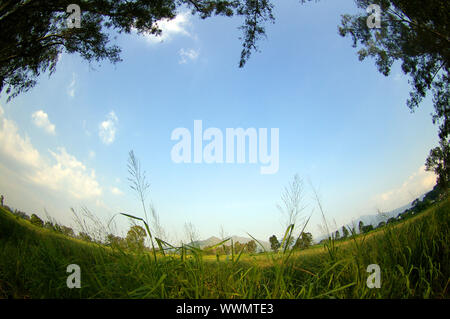 Zona umida di Hong Kong Foto Stock