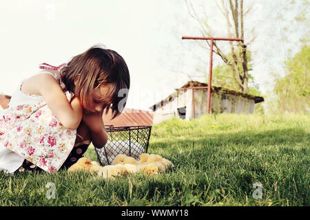 Bambina guarda Buff Orpington pulcini con pollaio e stalla nel lontano sullo sfondo. Estrema profondità di campo con una certa sfocatura sui porti inferiore Foto Stock