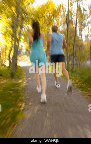 Paio di jogging sul percorso alberato Foto Stock