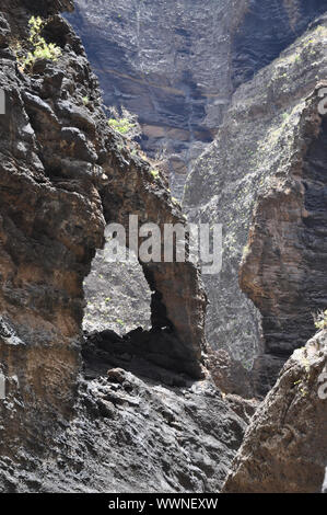 FElsentor nel Masca Gorge, Tenerife Foto Stock