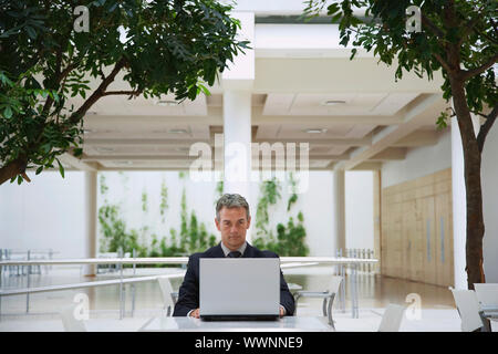 Imprenditore lavorando sul computer portatile Foto Stock