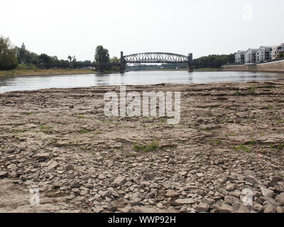 Impressionen aus Magdeburg-Blick auf die Hubbrücke Magdeburg bei Niedrigwasser 2015 in der Elbe Foto Stock