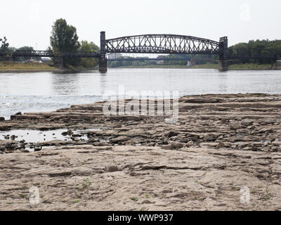 Impressionen aus Magdeburg-Blick auf die Hubbrücke Magdeburg bei Niedrigwasser 2015 in der Elbe Foto Stock