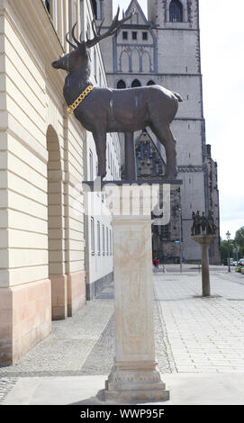 Hirschsäule sul Mercato Vecchio a Magdeburgo, nel Land Sassonia-Anhalt Foto Stock