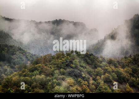 Vista in Bodetal valley nella nebbia Foto Stock