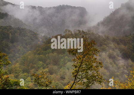 Vista in Bodetal valley nella nebbia Foto Stock