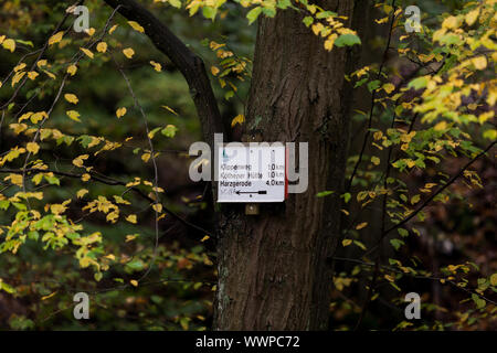 Sentiero escursionistico di segnaletica in le montagne Harz Foto Stock