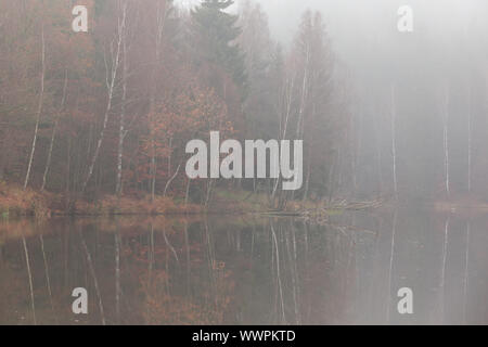 Lago di montagna nella nebbia Harz Selketal-Stieg Foto Stock