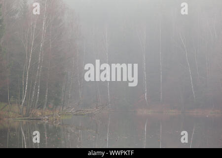 Lago di montagna nella nebbia Harz Selketal-Stieg Foto Stock