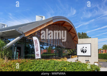 Vista del moderno edificio sede del Fondo mondiale per la natura (WWF) da Basingstoke Canal a Woking, Surrey, Inghilterra del sud-est Foto Stock