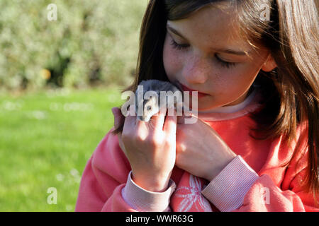 Ragazza giovane azienda un roditore Foto Stock