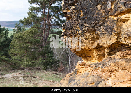 Camel Rock vicino Westerhausen nelle montagne Harz Foto Stock