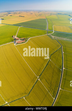 Vista aerea di campi di riso e agriturismo in Italia, panorama della Valle Padana Foto Stock