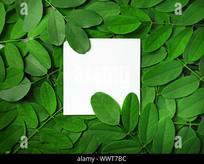 Vuoto bianco sullo sfondo della carta con foglie verdi. Cornice quadrata. Concetto di natura. Copia spazio per il testo. Lay piatto. Foto Stock