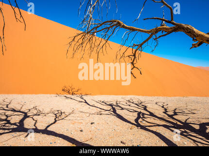 Morto alberi Camelthorn e dune rosse di Sossusvlei, Namib-Naukluft National Park, Namibia Foto Stock