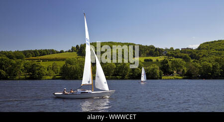 Barche a vela sul lago di Baldeney, Essen, la zona della Ruhr, Renania settentrionale-Vestfalia, Germania, Europa Foto Stock