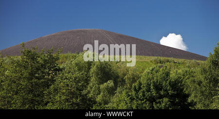 Punta di bottino Mottbruchhalde assomiglia a un vulcano, Gladbeck, la zona della Ruhr, Germania, Europa Foto Stock
