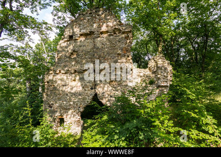 Brurgruine Stecklenburg Harz Foto Stock