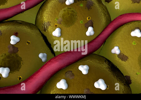 Recettori e vena sulla superficie di cellule, arteria sulla superficie cellulare Foto Stock